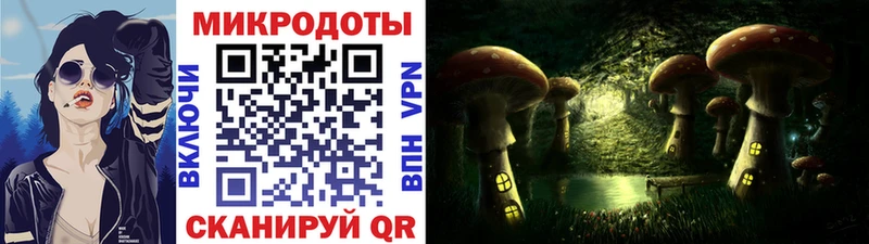 Галлюциногенные грибы мухоморы Купить закладки Камбарка